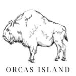 Bison Antiquus ExhibitOrcas Historical Museum